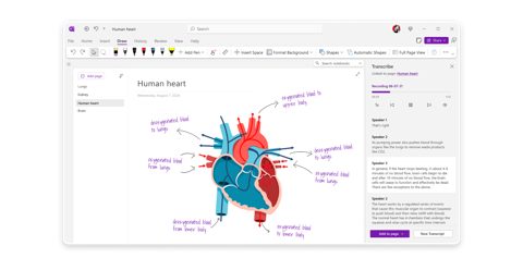 Microsoft OneNote screenshot: Ink notes with transcript pane
