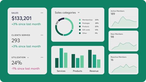 Mindbody screenshot: Sales and clients reporting dashboard
