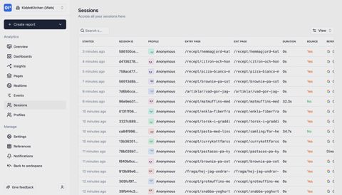OpenPanel screenshot: Sessions list