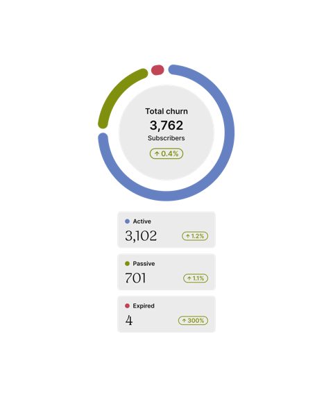 Recharge screenshot: Subscriber churn breakdown