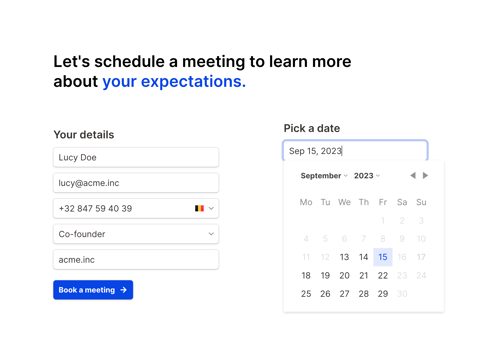 Tally screenshot: Booking form with date picker