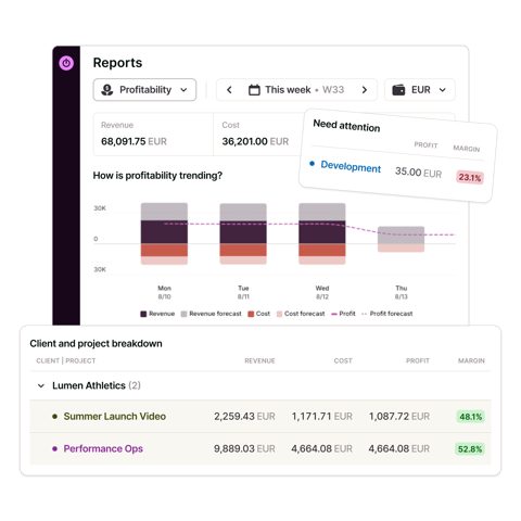 Toggl Track screenshot: Profitability report