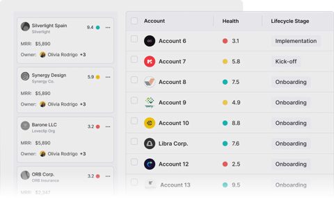 Velaris screenshot: Account list with health and lifecycle stage