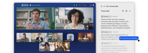 Zoom Workplace screenshot: Meeting with video gallery and transcript