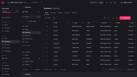 Appwrite screenshot: Databases table view in the console