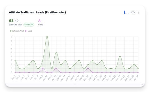 Cometly screenshot: Dashboard widget charting website visits and leads