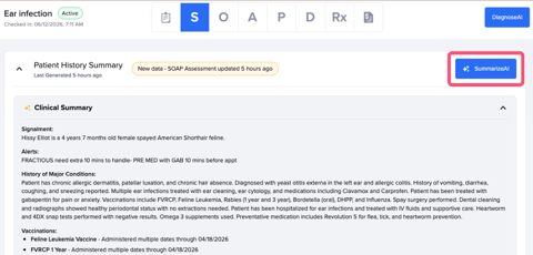 Shepherd screenshot: SOAP note with AI patient summary