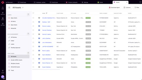 SuperOps screenshot: Asset list with views and status