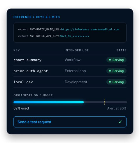 Canvas Medical screenshot: Inference gateway keys and budget panel