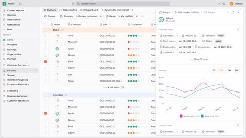 Planhat screenshot: Account table with detail side panel