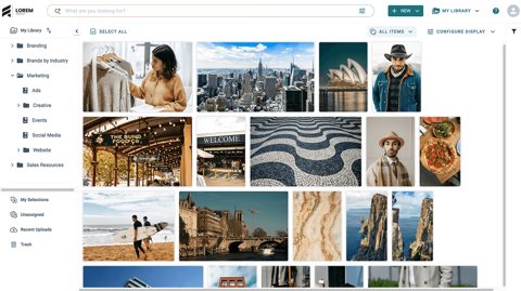 Canto screenshot: Library with folder tree and asset grid