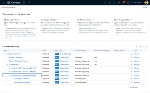 Collibra screenshot: Context hierarchy table