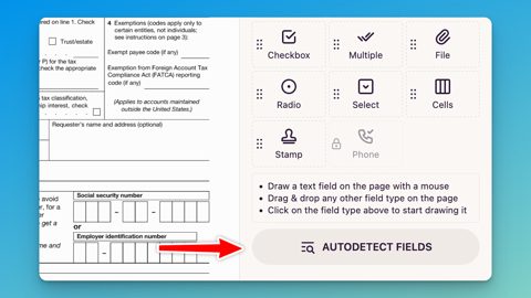 DocuSeal screenshot: Autodetect fields on a PDF
