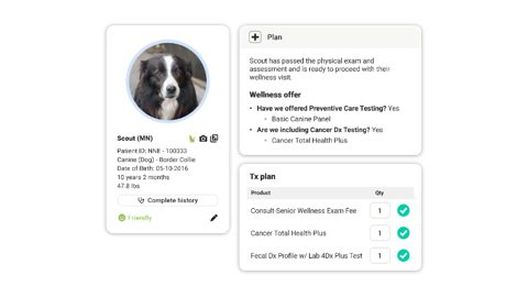 ezyVet screenshot: Patient record with treatment plan
