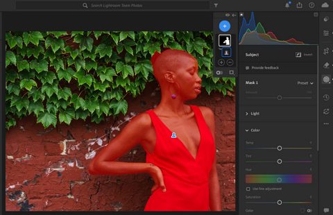 Adobe Lightroom screenshot: Masking with Select Subject in the editor