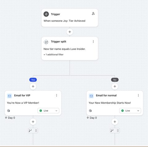 Joy Loyalty screenshot: Automation flow with tier trigger